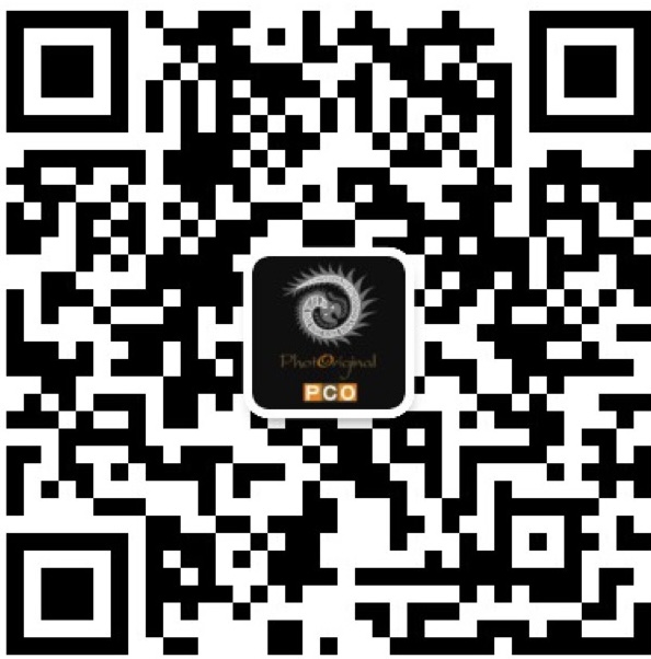 公众号